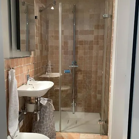 La #11 بريفيرينغيز