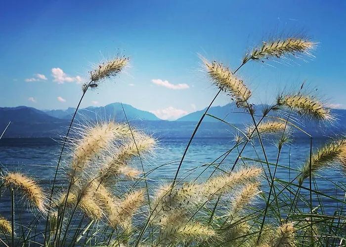 Kwatera prywatna La #11